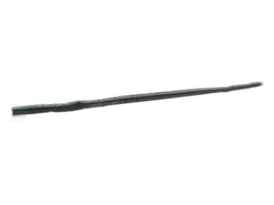 GM 15235722 Belt Weatherstrip