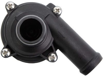GM 10438993 Auxiliary Pump