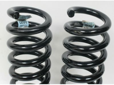 GM 23341860 Coil Spring