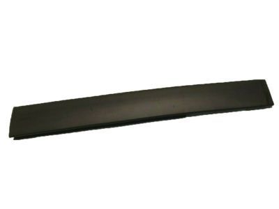 GM 42577929 Drip Molding