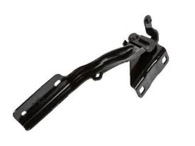 GM 19317757 Hinge