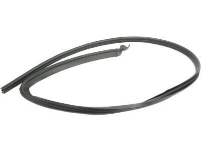 GM 25868658 Weatherstrip