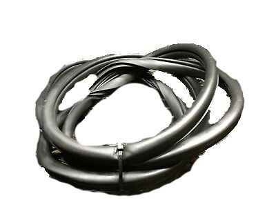 GM 22859956 Belt Weatherstrip