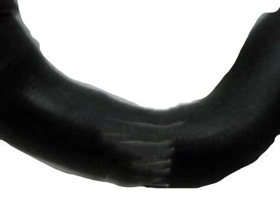 GM 25775994 Lower Hose
