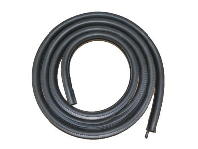 GM 22766415 Surround Weatherstrip