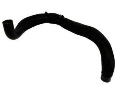 GM 25880391 Upper Hose