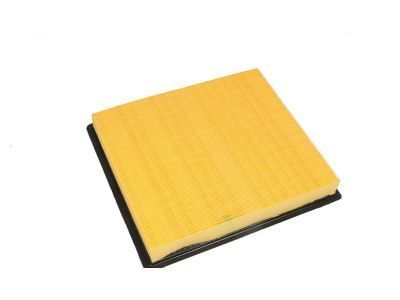 GM 20972654 Air Filter