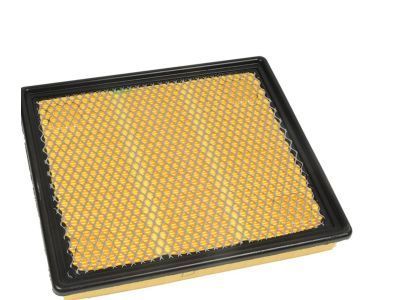 GM 20972654 Air Filter