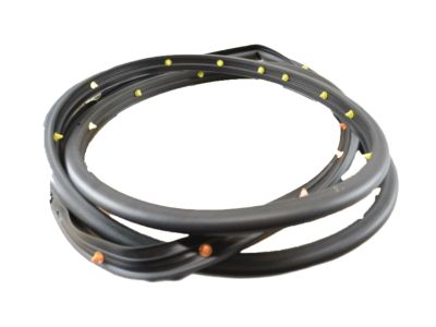 GM 95021341 Door Weatherstrip