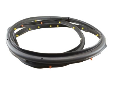 GM 95021341 Door Weatherstrip