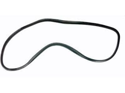 GM 88952175 Weatherstrip On Body