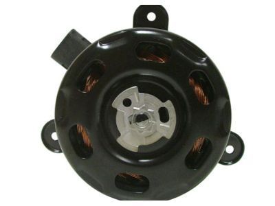 GM 89018696 Fan Motor