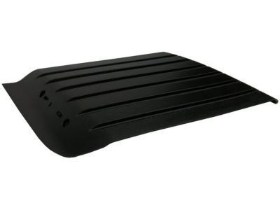 GM 22753693 Rear Molding