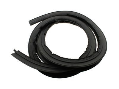 GM 15174843 Weatherstrip