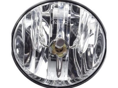 GM 15269042 Fog Lamp