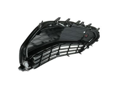 GM 42497937 Lower Grille
