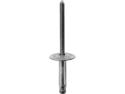 GM 22638717 Bracket Rivet