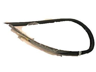 GM 20847948 Belt Weatherstrip