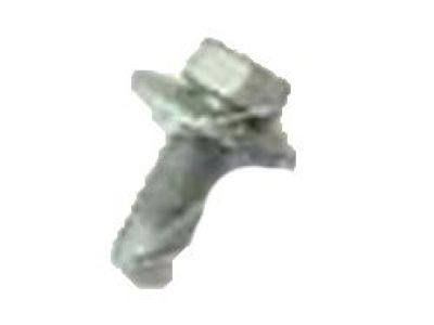 GM 11516598 End Cap Screw