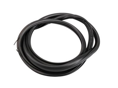 GM 23283530 Surround Weatherstrip