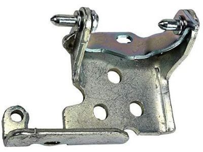 GM 15134975 Hinge