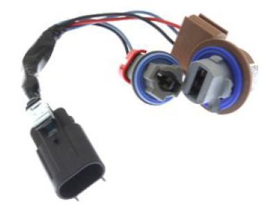 GM 25851960 Socket & Wire