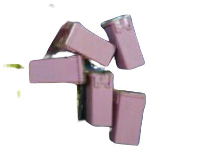 GM 15319477 Maxi Fuse