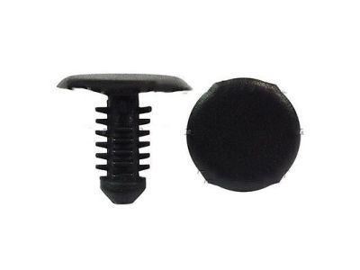 GM 20538173 Extension Retainer