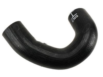 GM 96968500 Radiator Outlet Hose