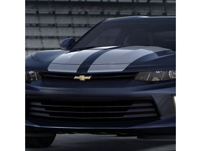GM 84047846 Stripe Kit