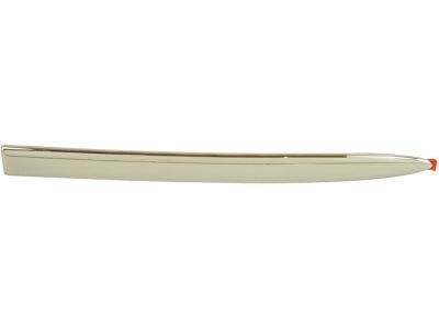 GM 15085467 Body Side Molding