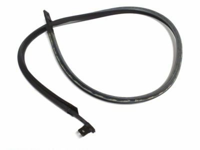 GM 14016511 Weatherstrip, Front Side Door