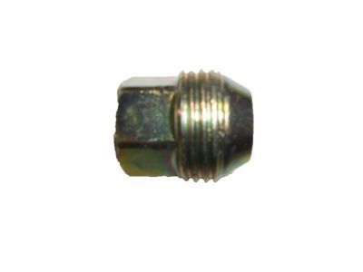 GM 10028615 Wheel Nut