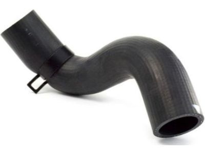 GM 96810843 Upper Hose