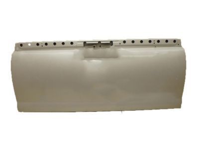 GM 20940096 Tail Gate