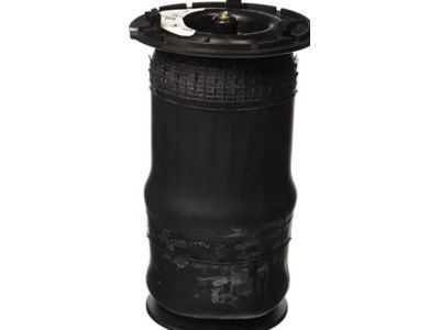 GM 25815604 Air Spring