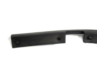 GM 15735055 Weatherstrip Asm-Front Side Door Lower <Use 1C5K