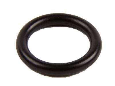 GM 55568540 Cooling Pipe Seal