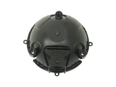 GM 15951931 Mirror Motor