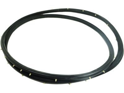 GM 25931869 Door Weatherstrip