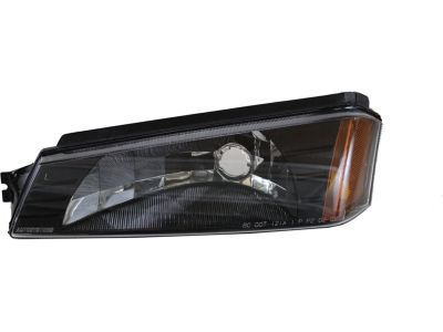 GM 15077336 Park/Turn Lamp