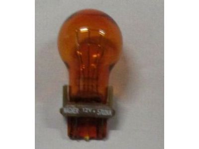 GM 13502321 Run Lamp Bulb