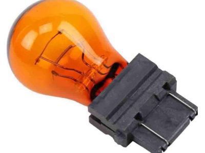 GM 13502321 Run Lamp Bulb