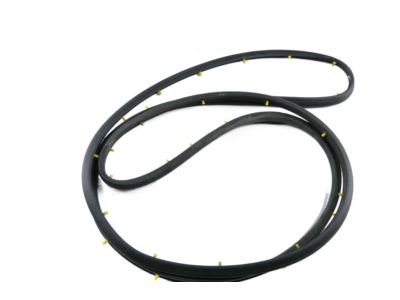 GM 23282071 Door Weatherstrip