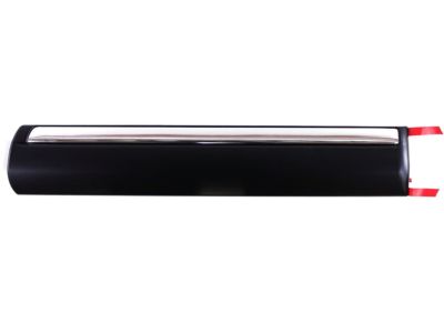 GM 88944485 Body Side Molding