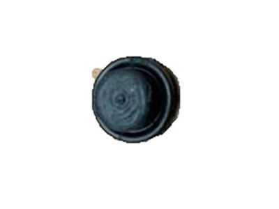 GM 18003901 Cover, Rear Brake Bleeder Bolt(3/8-24 Thread)