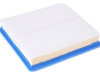 GM 23248945 Air Filter