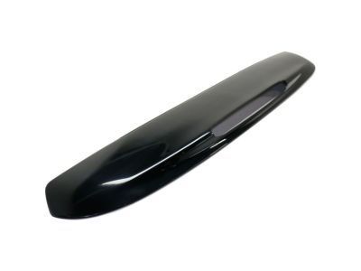 GM 19150496 Upper Molding