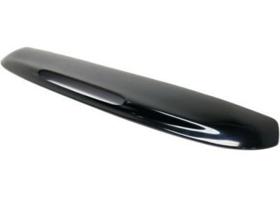 GM 19150496 Upper Molding