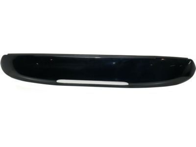 GM 19150496 Upper Molding